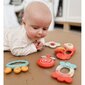 Närimislelude komplekt Woopie Baby, 4 tk hind ja info | Imikute mänguasjad | kaup24.ee