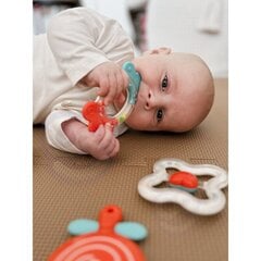 Набор прорезывателей и погремушек, Woopie Baby, 4 шт цена и информация | Игрушки для малышей | kaup24.ee