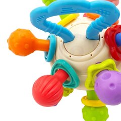 Разноцветная погремушка в форме шара 2 в 1, Woopie Baby цена и информация | Игрушки для малышей | kaup24.ee
