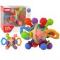 Värviline pallikujuline mänguasi 2in1 Woopie Baby цена и информация | Imikute mänguasjad | kaup24.ee