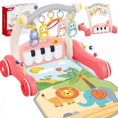 Игровой коврик и горка 2 в 1 со звуковыми эффектами, розовый, Woopie Baby цена и информация | Игрушки для малышей | kaup24.ee