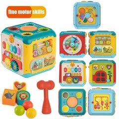 Кубик для активностей 6 в 1 Woopie Baby цена и информация | Развивающие игрушки | kaup24.ee