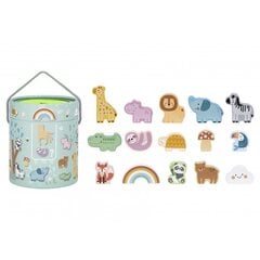 Salapärane kast koos tarvikutega Woopie hind ja info | Arendavad mänguasjad | kaup24.ee