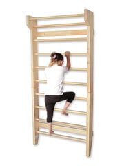 гимнастическая лестница для реабилитации, 195 см, деревянная цена и информация | Шведские стенки | kaup24.ee