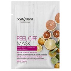 Отшелушивающая антиоксидантная маска Postquam, 6 шт цена и информация | Маски для лица, патчи для глаз | kaup24.ee