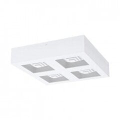 FERREROS wall / ceiling light цена и информация | Потолочные светильники | kaup24.ee