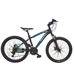Noorukite jalgratas Bisan 24 MTS4600 MD (PR10010447), must/roheline hind ja info | Jalgrattad | kaup24.ee