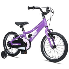 Детский велосипед GoKidy 16 Dude (DUD.1604) фиолетовый цена и информация | Велосипеды | kaup24.ee