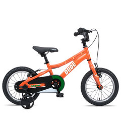 Детский велосипед GoKidy 14 Dude (DUD.1401) оранжевый цена и информация | Велосипеды | kaup24.ee