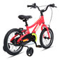 Laste jalgratas GoKidy 14 Dude (DUD.1403), punane цена и информация | Jalgrattad | kaup24.ee