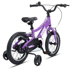 Детский велосипед GoKidy 14 Dude (DUD.1404) фиолетовый цена и информация | Велосипеды | kaup24.ee