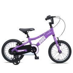 Laste jalgratas GoKidy 14 Dude (DUD.1404), violetne hind ja info | Jalgrattad | kaup24.ee