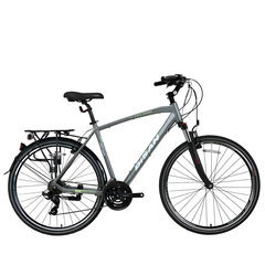 Туристический велосипед Bisan 28 TRX8100 City (PR10010427) светло-серый/зеленый (20) цена и информация | Велосипеды | kaup24.ee