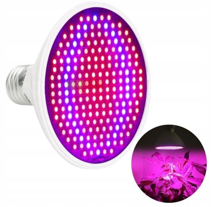 200 LED lamp taimede kasvatamiseks, 9,5 W hind ja info | Nutipotid ja taimelambid | kaup24.ee