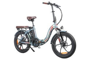 Электровелосипед Fafrees F20 Pro, 20", светло-зеленый, 250Вт, 18Ач цена и информация | Электровелосипеды | kaup24.ee