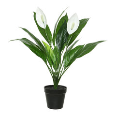 Dekoratiivne lill Spathiphyllum hind ja info | Kunstlilled | kaup24.ee