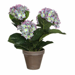 Dekoratiivne lill Magnoolia hind ja info | Kunstlilled | kaup24.ee