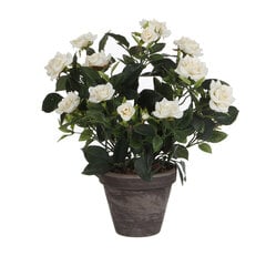 Dekoratiivne roos hind ja info | Kunstlilled | kaup24.ee