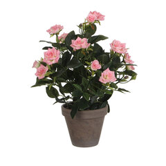 Декоративное растение Mica Decorations Rosal Керамика PVC цена и информация | Искусственные цветы | kaup24.ee
