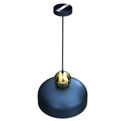 подвесной светильник 1xe27 цена и информация | Люстры | kaup24.ee