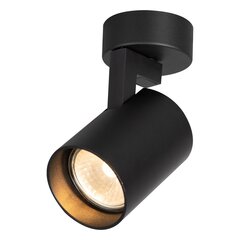 светильник для внутреннего освещения, черный цена и информация | Потолочные светильники | kaup24.ee