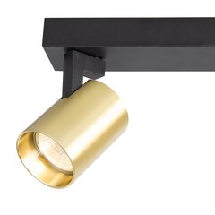 светильник volf spot gold - 2xgu10 цена и информация | Потолочные светильники | kaup24.ee