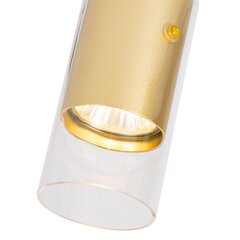 светильник для помещений, 230 в/50 гц цена и информация | Потолочные светильники | kaup24.ee