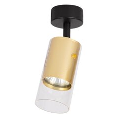светильник для помещений, 230 в/50 гц цена и информация | Потолочные светильники | kaup24.ee