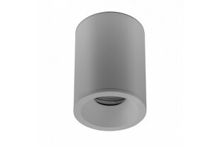 Корпус светильника потолочного Sensa Aqua, Ø85x115 мм, IP54, серый цена и информация | Потолочные светильники | kaup24.ee