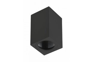 Потолочный светильник Tipo,IP20, квадратный, черный цена и информация | Потолочные светильники | kaup24.ee