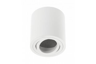 Потолочный светильник Aveiro Bis, IP20, круглый, белый цена и информация | Потолочные светильники | kaup24.ee