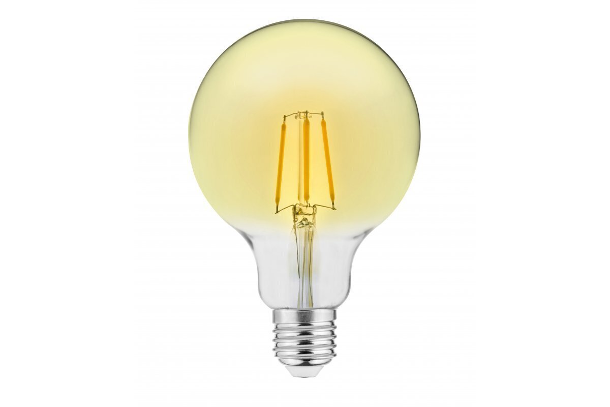 Pirn LED, G95, E27, 4W, 300Lm, 3000K, Filament Vintage, 220-240V, 360° цена и информация | Lambipirnid, lambid | kaup24.ee