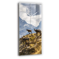 Seinakell Kits Aosta orus, 30x60 cm hind ja info | Kellad | kaup24.ee