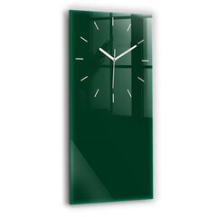 Seinakell Pudeli värv roheline, 30x60 cm hind ja info | Kellad | kaup24.ee