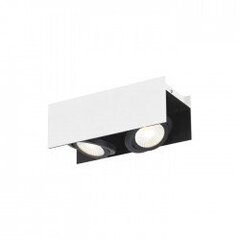 VIDAGO ceiling light цена и информация | Потолочные светильники | kaup24.ee