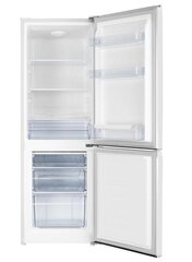 Hisense RB224D4BWE цена и информация | Холодильники | kaup24.ee
