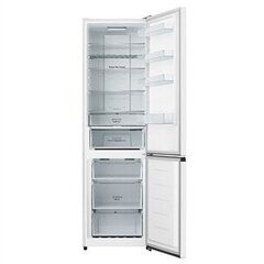 Hisense RB435N4BWE цена и информация | Холодильники | kaup24.ee