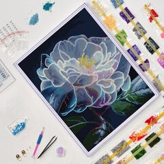 Teemantmosaiik raamiga TM Varvikas - Peony bloom LG335e, 40x50 cm hind ja info | Teemantmaalid, teemanttikandid | kaup24.ee