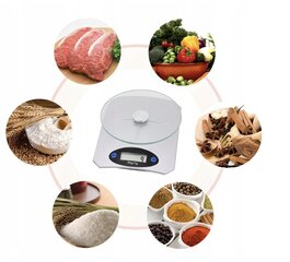 Кухонные весы, Electronics LV-15029, серый, 1 шт. цена и информация | Кухонные весы | kaup24.ee