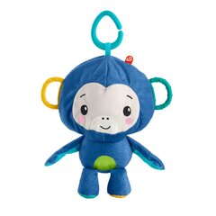 Fisher-Price ahvi rippuv mänguasi hind ja info | Imikute mänguasjad | kaup24.ee