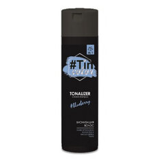 Tooniv šampoon Acme TinColor M/1 250ml mustikavaht цена и информация | Краска для волос | kaup24.ee