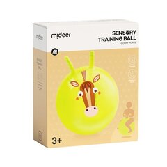 Балансировочный мяч-прыгун MiDeer Goofy Horse, 40 см цена и информация | Игрушки для песка, воды, пляжа | kaup24.ee