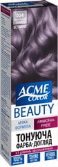 ACME Color Beauty matu krāsa-gels 024 purpura koraļļi цена и информация | Краска для волос | kaup24.ee