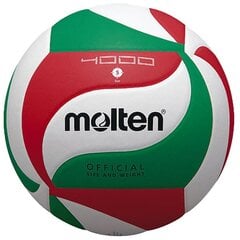 расплавленный волейбол цена и информация | Волейбольные мячи | kaup24.ee
