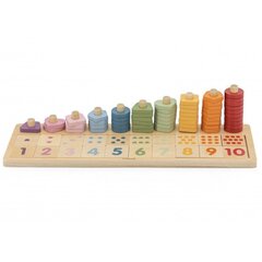 Деревянная сортировочная игра Viga Toys Polarb цена и информация | Развивающие игрушки | kaup24.ee