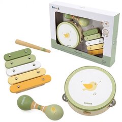 Детские музыкальные инструменты Bird Viga PolarB цена и информация | Игрушки для малышей | kaup24.ee