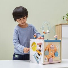 Hariv kuubik Viga PolarB 8in1 hind ja info | Arendavad mänguasjad | kaup24.ee
