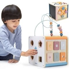 Развивающий кубик Viga PolarB 8в1 цена и информация | Развивающие игрушки | kaup24.ee