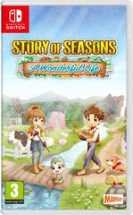 Story of Seasons: A Wonderful Life hind ja info | Arvutimängud, konsoolimängud | kaup24.ee