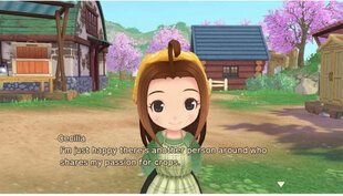 Story of Seasons: A Wonderful Life hind ja info | Arvutimängud, konsoolimängud | kaup24.ee